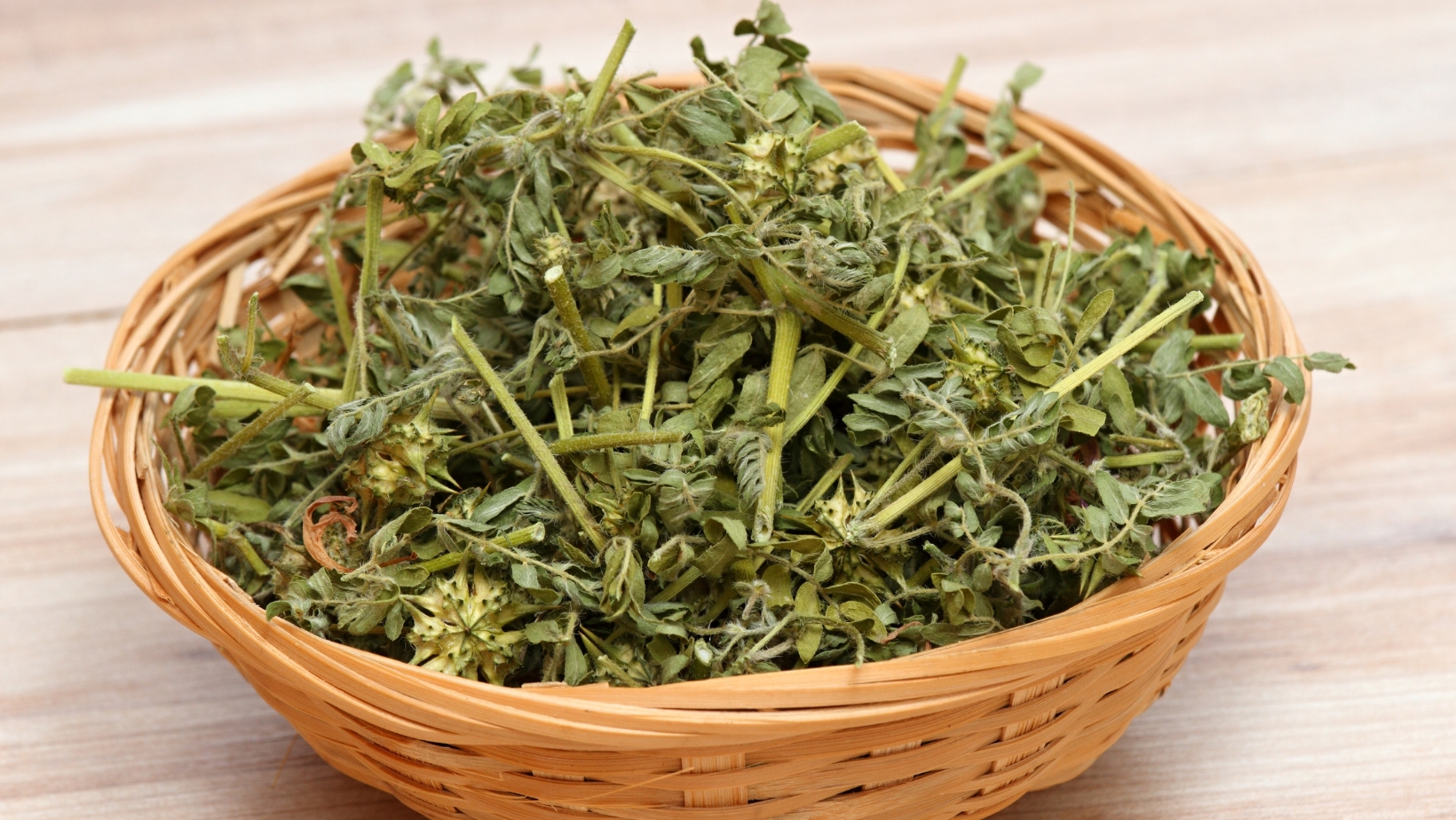 Tribulus Terrestris Para que serve? Blog Medicinalna