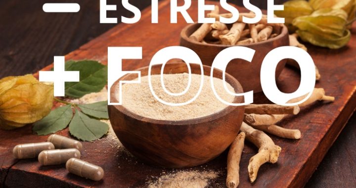 Ashwagandha: o adaptógeno para reduzir estresse e melhorar o foco